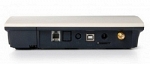 Orgtel WT-210 GSM шлюз